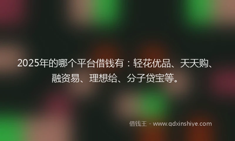 2025年的哪个平台借钱有：轻花优品、天天购、融资易、理想给、分子贷宝等。