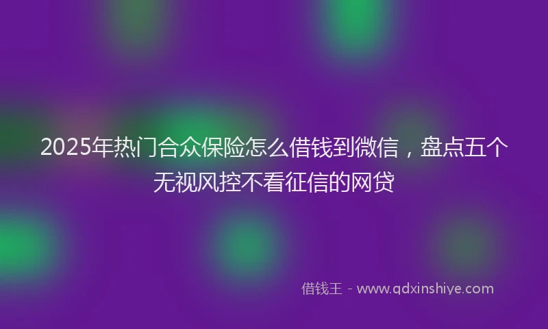 2025年热门合众保险怎么借钱到微信，盘点五个无视风控不看征信的网贷
