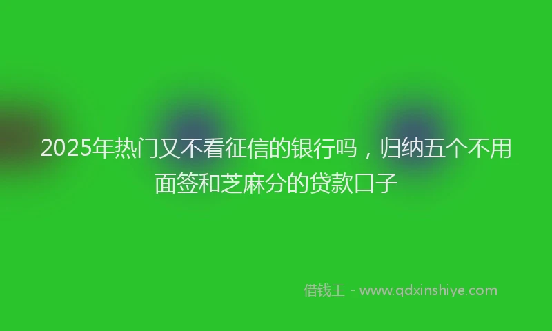 2025年热门又不看征信的银行吗，归纳五个不用面签和芝麻分的贷款口子