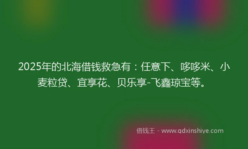 2025年的北海借钱救急有：任意下、哆哆米、小麦粒贷、宜享花、贝乐享-飞鑫琼宝等。