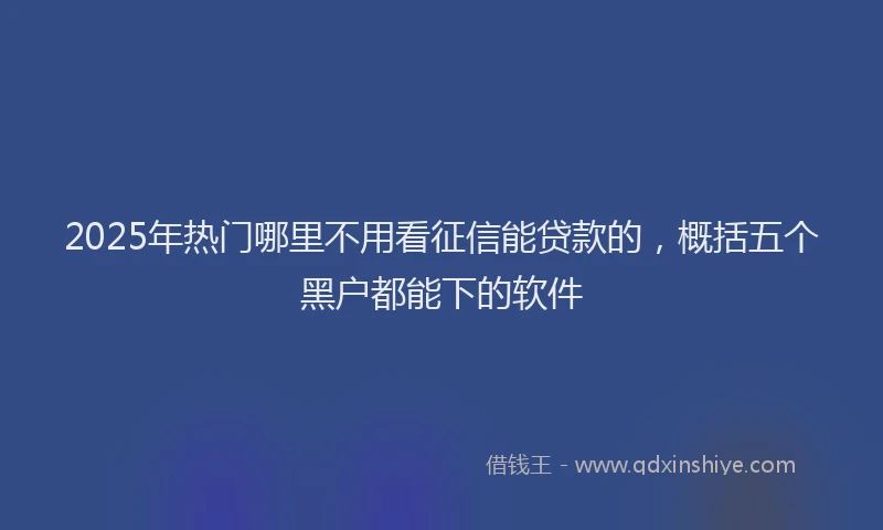 2025年热门哪里不用看征信能贷款的，概括五个黑户都能下的软件