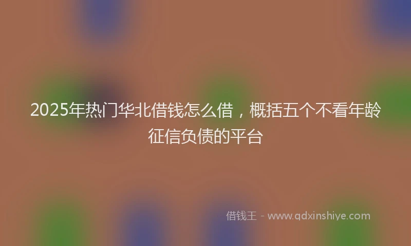 2025年热门华北借钱怎么借，概括五个不看年龄征信负债的平台