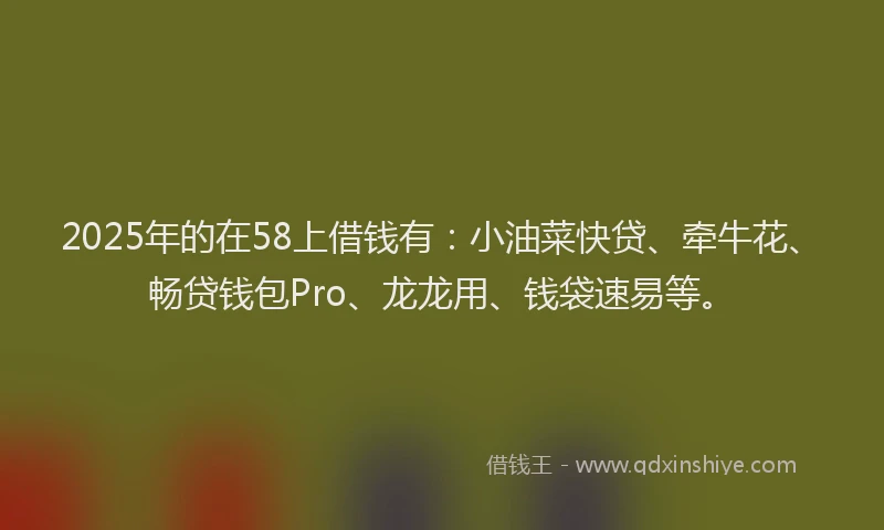 2025年的在58上借钱有：小油菜快贷、牵牛花、畅贷钱包Pro、龙龙用、钱袋速易等。