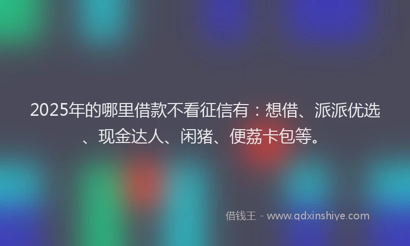 2025年的哪里借款不看征信有：想借、派派优选、现金达人、闲猪、便荔卡包等。