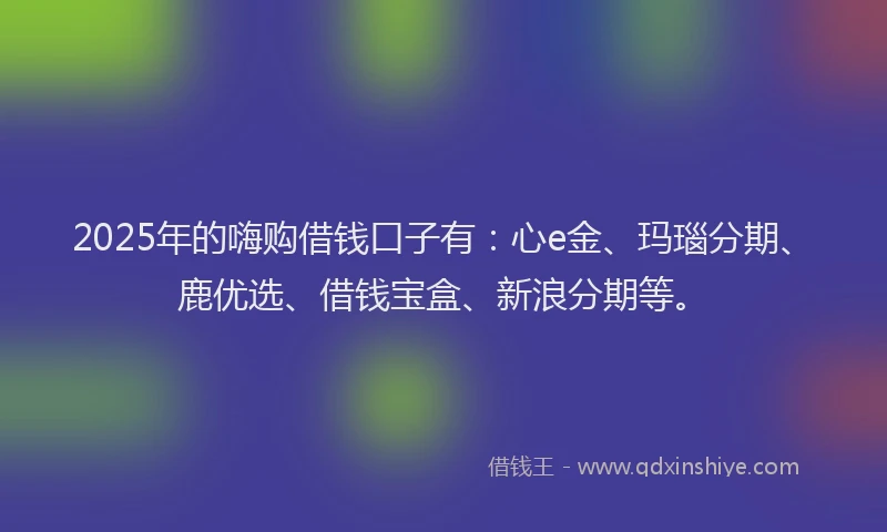 2025年的嗨购借钱口子有：心e金、玛瑙分期、鹿优选、借钱宝盒、新浪分期等。