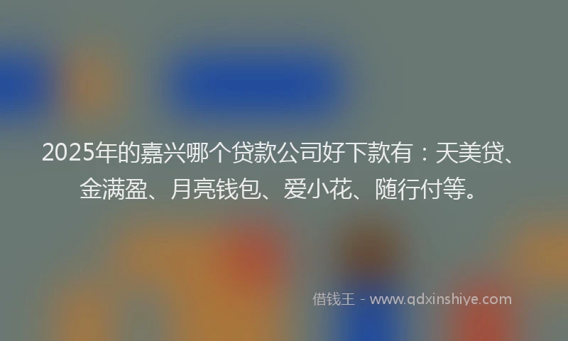2025年的嘉兴哪个贷款公司好下款有：天美贷、金满盈、月亮钱包、爱小花、随行付等。