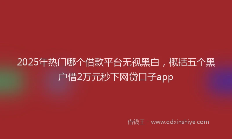 2025年热门哪个借款平台无视黑白，概括五个黑户借2万元秒下网贷口子app