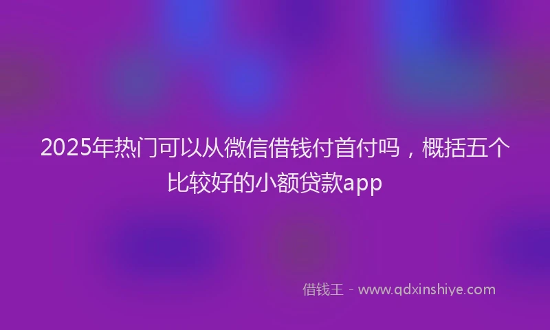 2025年热门可以从微信借钱付首付吗，概括五个比较好的小额贷款app