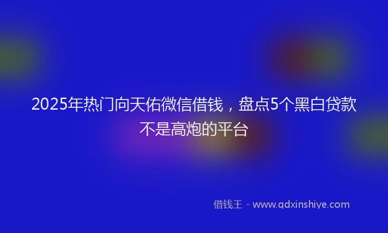 2025年热门向天佑微信借钱，盘点5个黑白贷款不是高炮的平台