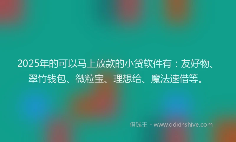 2025年的可以马上放款的小贷软件有：友好物、翠竹钱包、微粒宝、理想给、魔法速借等。