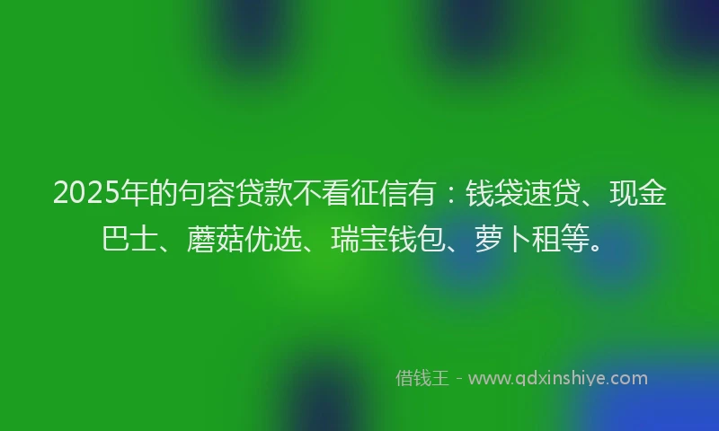 2025年的句容贷款不看征信有：钱袋速贷、现金巴士、蘑菇优选、瑞宝钱包、萝卜租等。