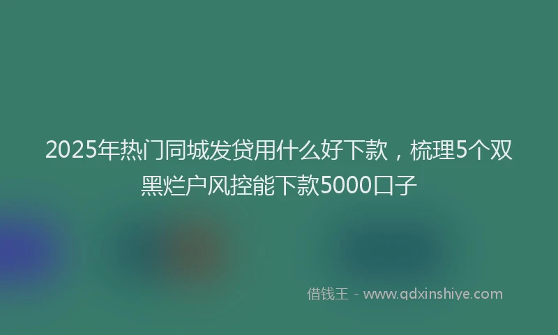 2025年热门同城发贷用什么好下款，梳理5个双黑烂户风控能下款5000口子