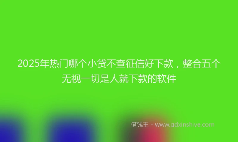 2025年热门哪个小贷不查征信好下款，整合五个无视一切是人就下款的软件