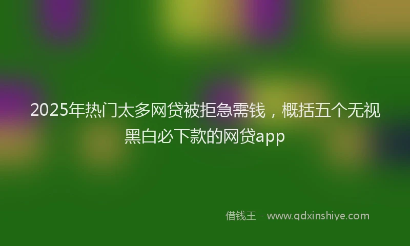 2025年热门太多网贷被拒急需钱，概括五个无视黑白必下款的网贷app