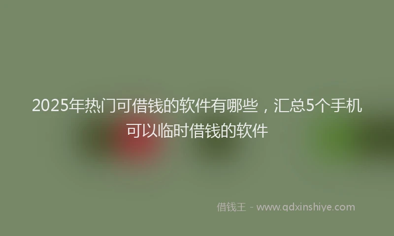 2025年热门可借钱的软件有哪些，汇总5个手机可以临时借钱的软件
