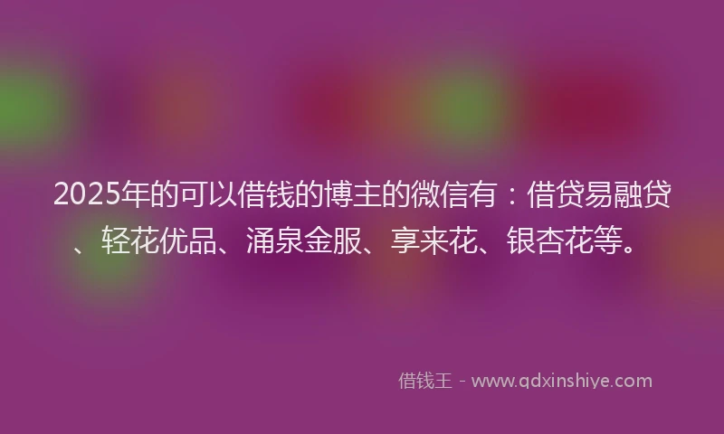2025年的可以借钱的博主的微信有：借贷易融贷、轻花优品、涌泉金服、享来花、银杏花等。
