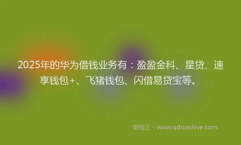 2025年的华为借钱业务有：盈盈金科、星贷、速享钱包+、飞猪钱包、闪借易贷宝等。