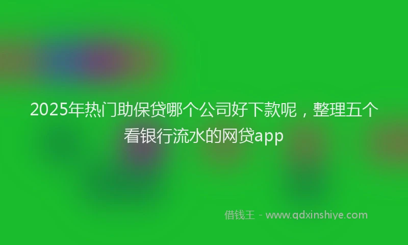 2025年热门助保贷哪个公司好下款呢，整理五个看银行流水的网贷app