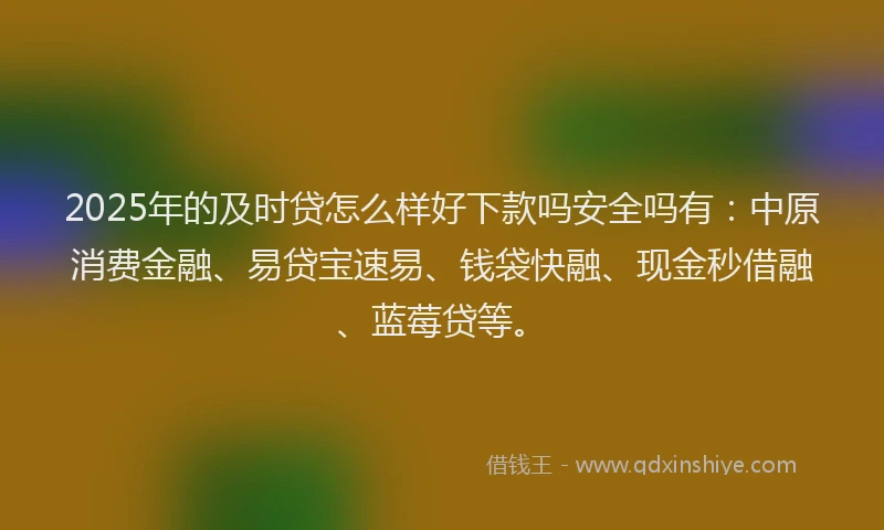 2025年的及时贷怎么样好下款吗安全吗有：中原消费金融、易贷宝速易、钱袋快融、现金秒借融、蓝莓贷等。
