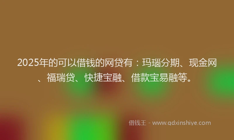 2025年的可以借钱的网贷有：玛瑙分期、现金网、福瑞贷、快捷宝融、借款宝易融等。