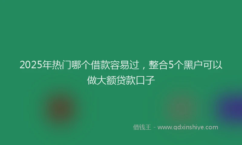 2025年热门哪个借款容易过，整合5个黑户可以做大额贷款口子
