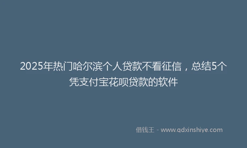 2025年热门哈尔滨个人贷款不看征信，总结5个凭支付宝花呗贷款的软件