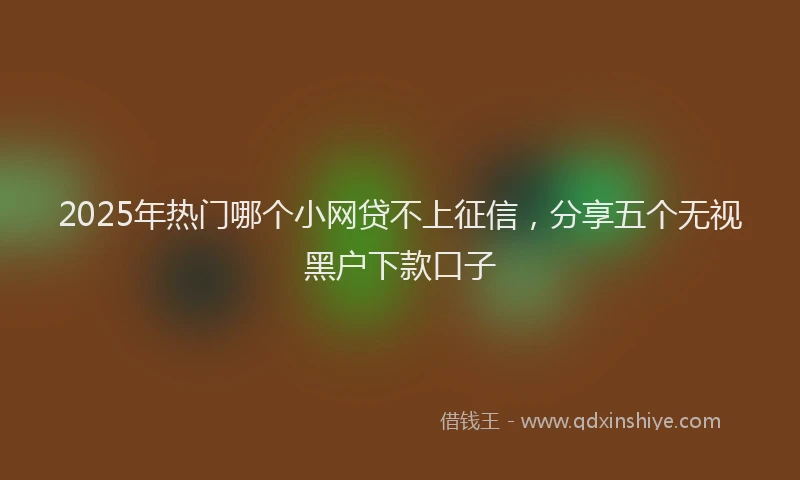 2025年热门哪个小网贷不上征信，分享五个无视黑户下款口子