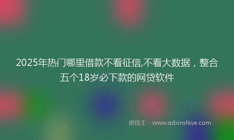 2025年热门哪里借款不看征信,不看大数据，整合五个18岁必下款的网贷软件