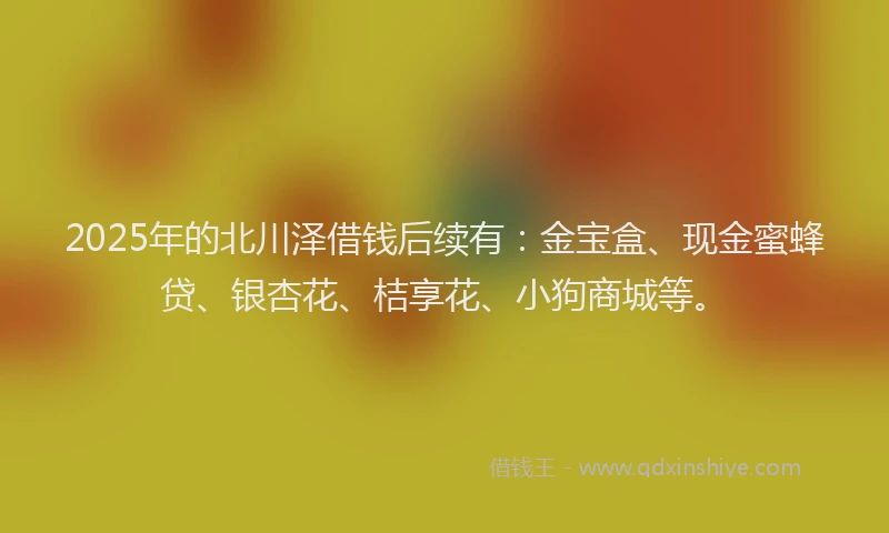 2025年的北川泽借钱后续有：金宝盒、现金蜜蜂贷、银杏花、桔享花、小狗商城等。
