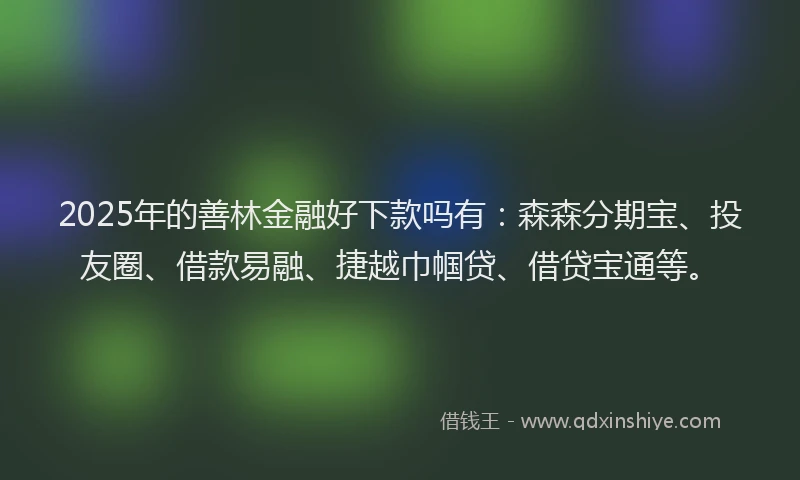 2025年的善林金融好下款吗有：森森分期宝、投友圈、借款易融、捷越巾帼贷、借贷宝通等。