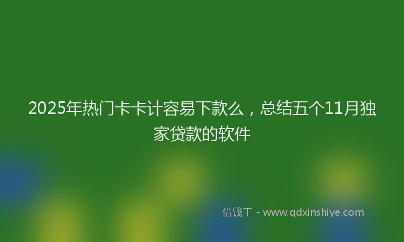 2025年热门卡卡计容易下款么，总结五个11月独家贷款的软件