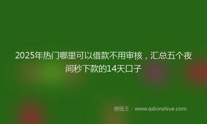 2025年热门哪里可以借款不用审核，汇总五个夜间秒下款的14天口子