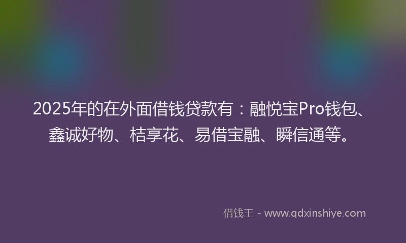 2025年的在外面借钱贷款有：融悦宝Pro钱包、鑫诚好物、桔享花、易借宝融、瞬信通等。