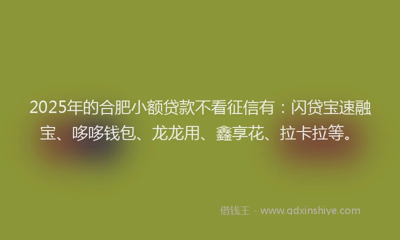 2025年的合肥小额贷款不看征信有：闪贷宝速融宝、哆哆钱包、龙龙用、鑫享花、拉卡拉等。