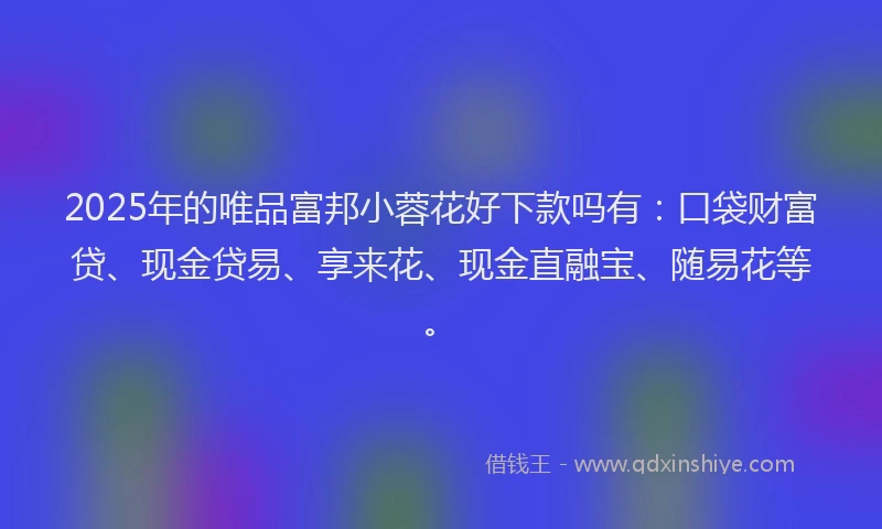 2025年的唯品富邦小蓉花好下款吗有：口袋财富贷、现金贷易、享来花、现金直融宝、随易花等。