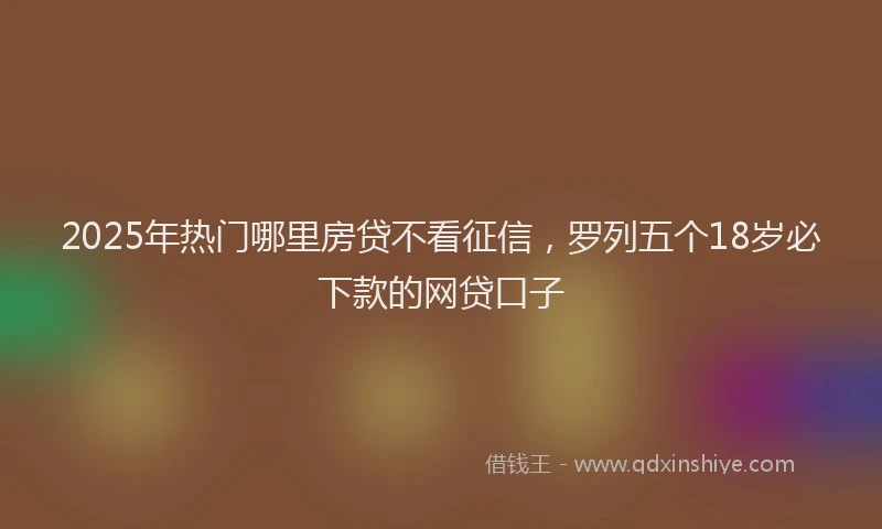 2025年热门哪里房贷不看征信，罗列五个18岁必下款的网贷口子