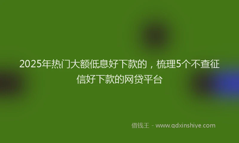 2025年热门大额低息好下款的，梳理5个不查征信好下款的网贷平台