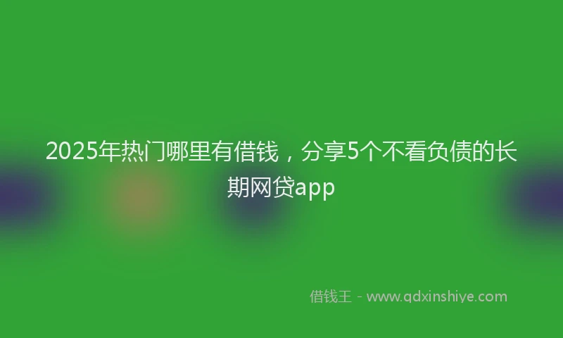 2025年热门哪里有借钱，分享5个不看负债的长期网贷app
