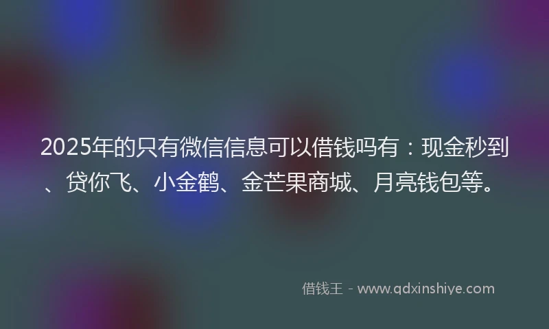 2025年的只有微信信息可以借钱吗有：现金秒到、贷你飞、小金鹤、金芒果商城、月亮钱包等。