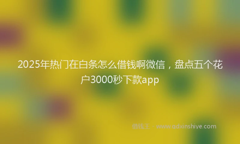 2025年热门在白条怎么借钱啊微信，盘点五个花户3000秒下款app