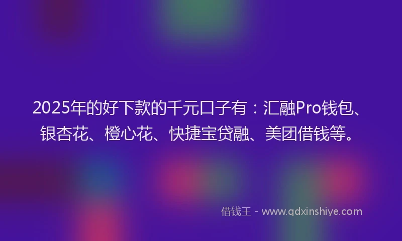 2025年的好下款的千元口子有：汇融Pro钱包、银杏花、橙心花、快捷宝贷融、美团借钱等。