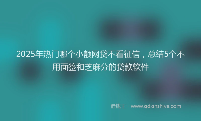 2025年热门哪个小额网贷不看征信，总结5个不用面签和芝麻分的贷款软件