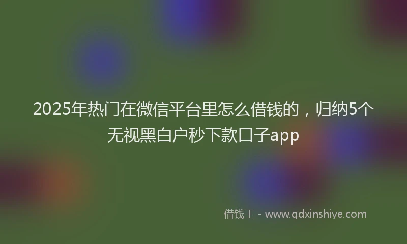 2025年热门在微信平台里怎么借钱的，归纳5个无视黑白户秒下款口子app