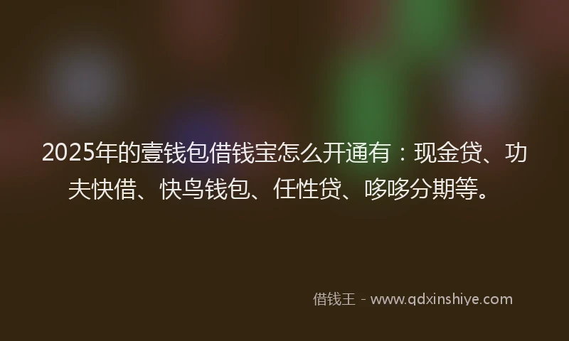2025年的壹钱包借钱宝怎么开通有：现金贷、功夫快借、快鸟钱包、任性贷、哆哆分期等。