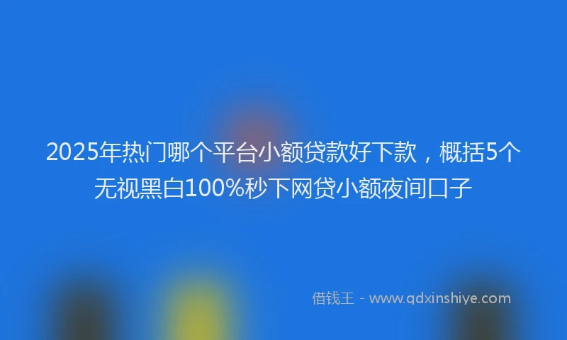 2025年热门哪个平台小额贷款好下款，概括5个无视黑白100%秒下网贷小额夜间口子