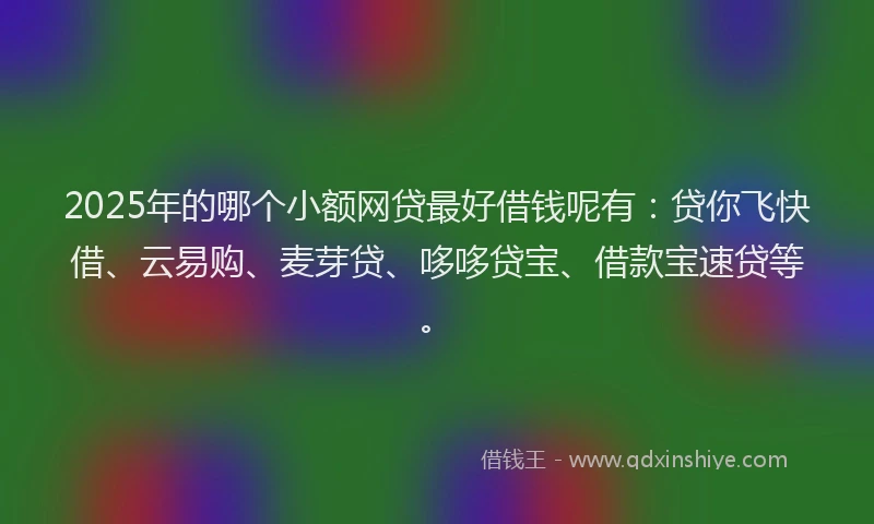 2025年的哪个小额网贷最好借钱呢有：贷你飞快借、云易购、麦芽贷、哆哆贷宝、借款宝速贷等。