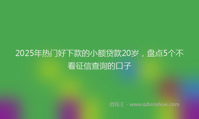 2025年热门好下款的小额贷款20岁，盘点5个不看征信查询的口子