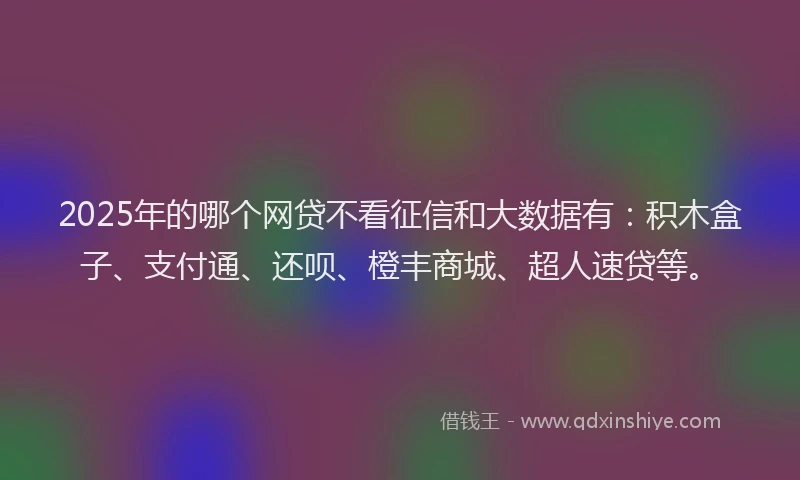 2025年的哪个网贷不看征信和大数据有：积木盒子、支付通、还呗、橙丰商城、超人速贷等。