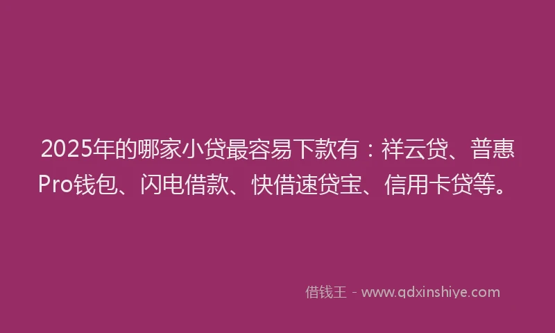 2025年的哪家小贷最容易下款有：祥云贷、普惠Pro钱包、闪电借款、快借速贷宝、信用卡贷等。