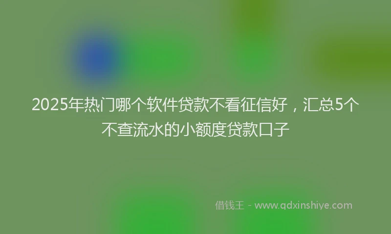2025年热门哪个软件贷款不看征信好，汇总5个不查流水的小额度贷款口子